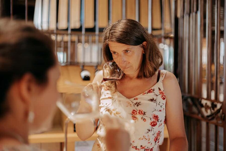 From Lyon: Beaujolais Wine Route Half-Day Tour - Meeting the winemaker at a family-run cellar