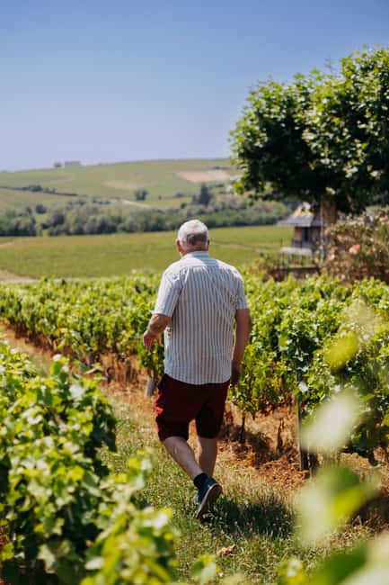 From Lyon: Beaujolais Wine Route Half-Day Tour - Who should book this Beaujolais outing?