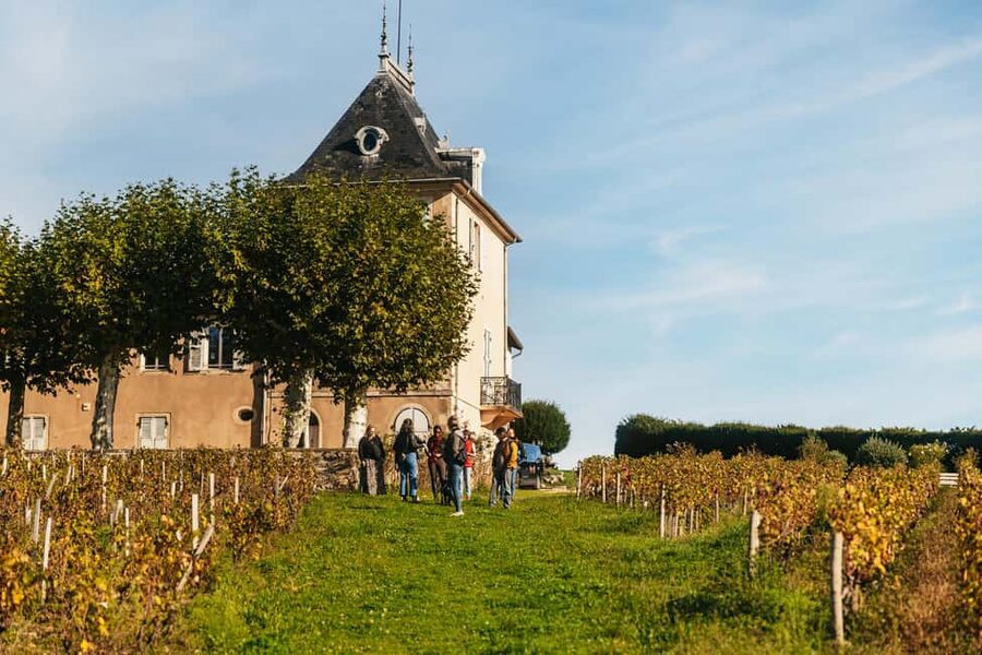 From Lyon: Beaujolais Wine Tour with Tastings - Why this short Beaujolais tour works