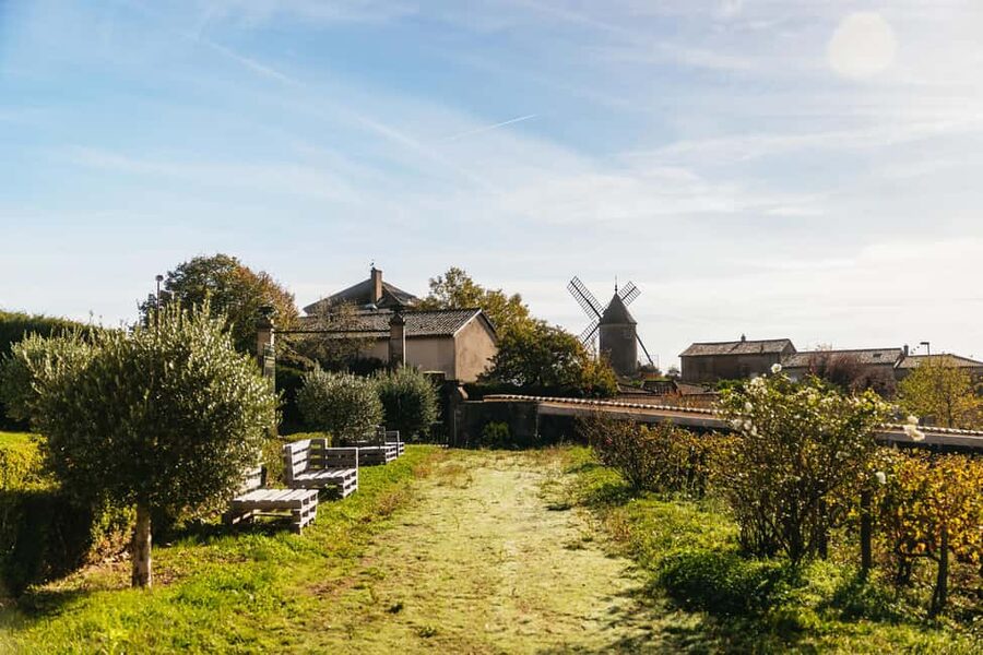 From Lyon: Beaujolais Wine Tour with Tastings - Meeting the winemakers at two family estates