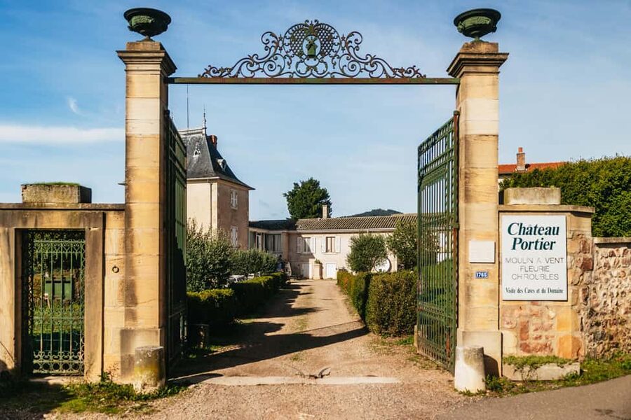 From Lyon: Beaujolais Wine Tour with Tastings - What you will taste, and why Gamay matters
