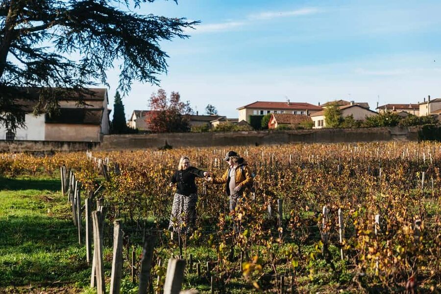 From Lyon: Beaujolais Wine Tour with Tastings - Guides who turn tasting into a lesson