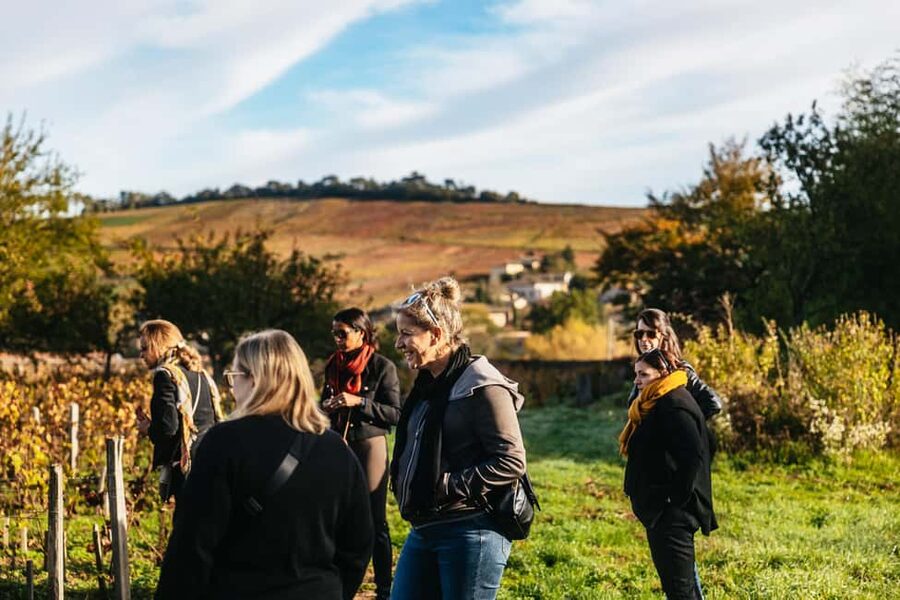From Lyon: Beaujolais Wine Tour with Tastings - Is $113 a fair price?