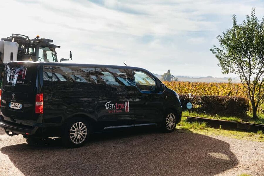From Lyon: Beaujolais Wine Tour with Tastings - Who will enjoy this four-hour outing
