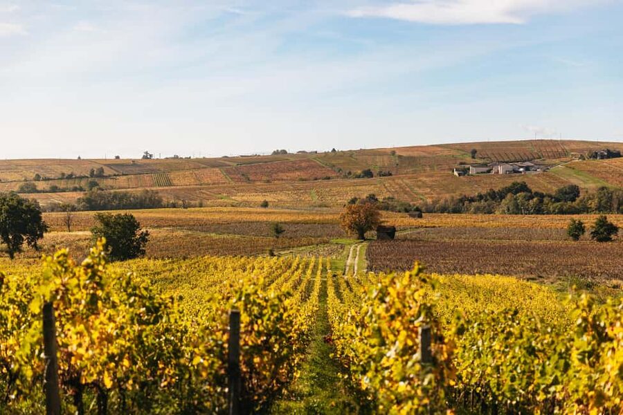 From Lyon: Beaujolais Wine Tour with Tastings - Bellecour Square is the starting line