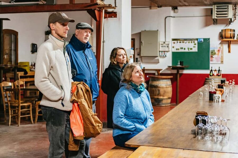 From Lyon: Golden Stones Beaujolais Wine Tasting Tour - How much wine education should you expect?