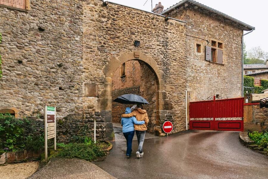 From Lyon: Golden Stones Beaujolais Wine Tasting Tour - The timing and value at $113