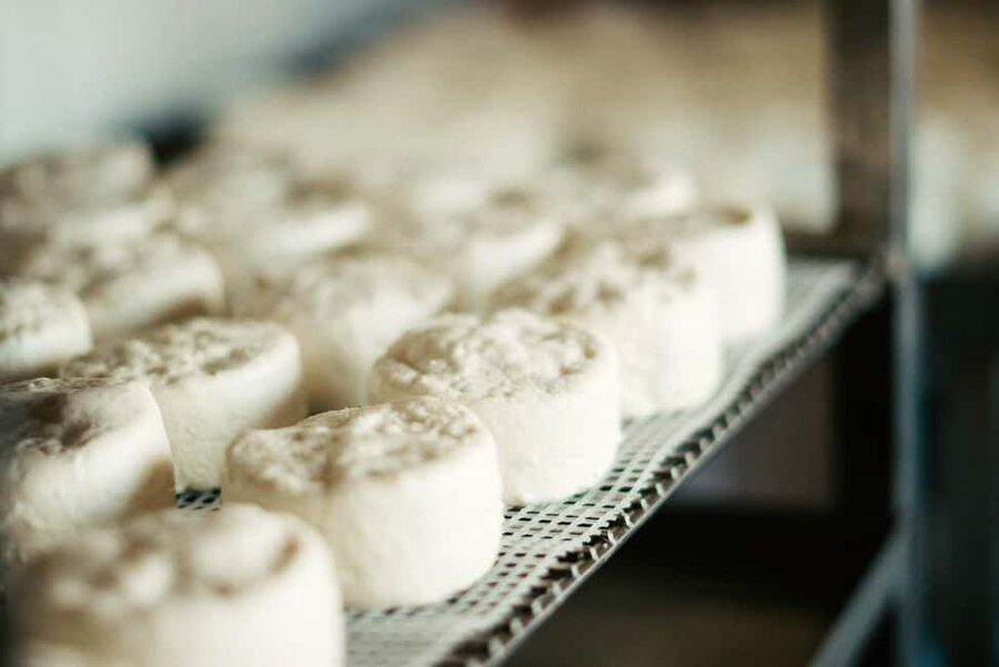 From Marseille: Aix en Provence Wine and Cheese Tour - Goat cheese at a traditional farm