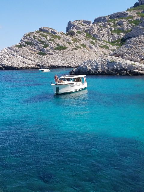 From Marseille: Calanques National Park Eco Boat Cruise - From the Old Port to Château d’If and Frioul