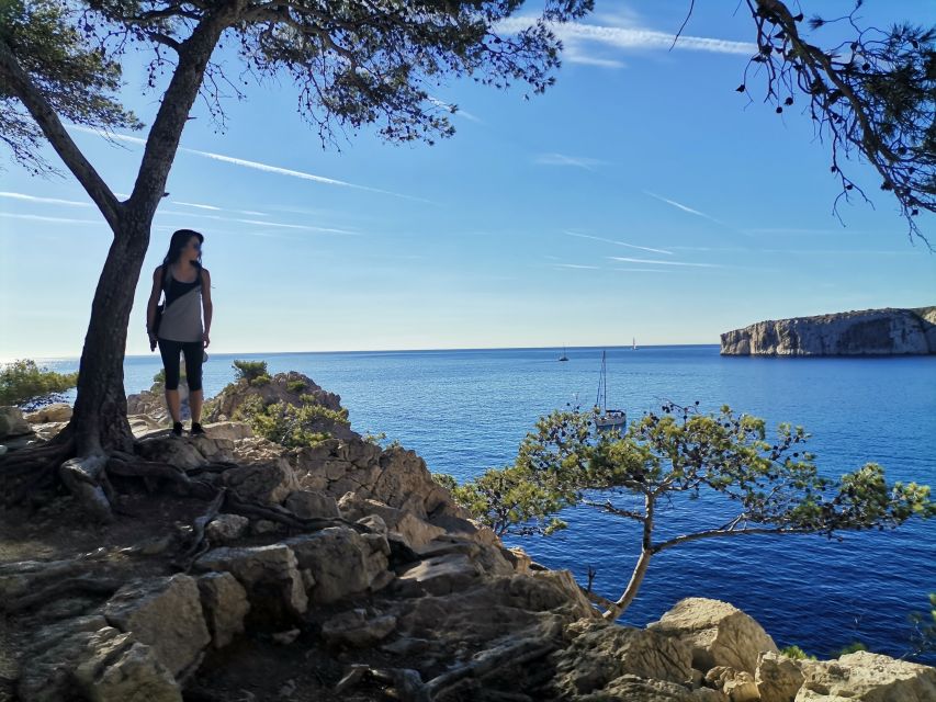 From Marseille: Calanques National Park Guided Hike - Limestone cliffs and wide Mediterranean views