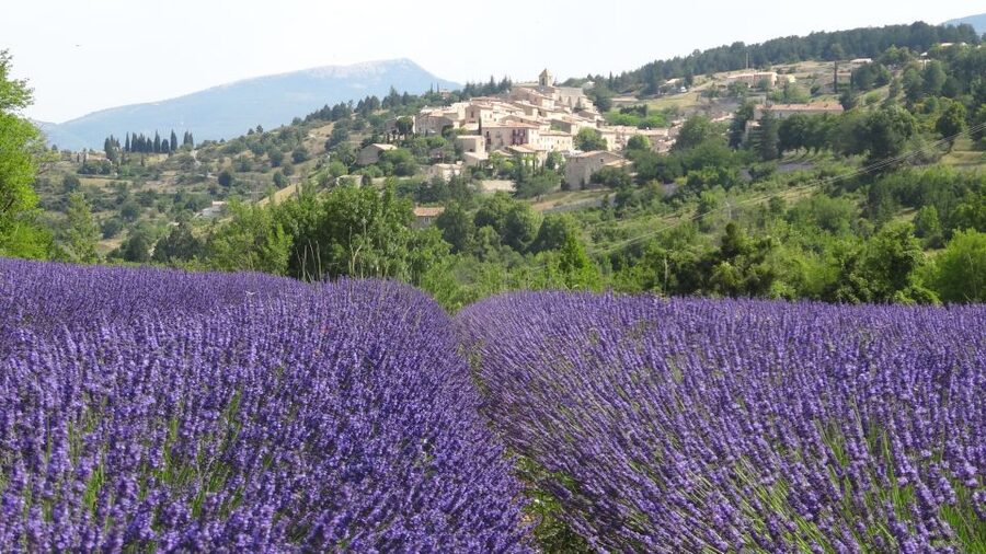 From Marseille: Lavender Full-Day Trip to Sault - Sault gives you lunch and breathing room