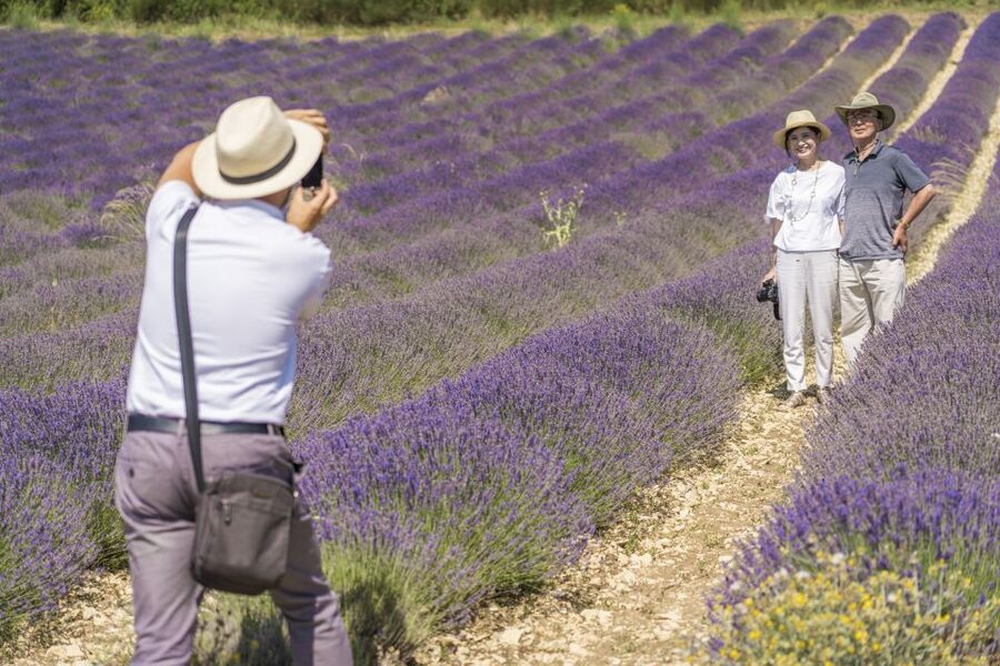From Marseille: Valensole Lavenders Tour from Cruise Port - Practical Booking Advice for Cruise Passengers