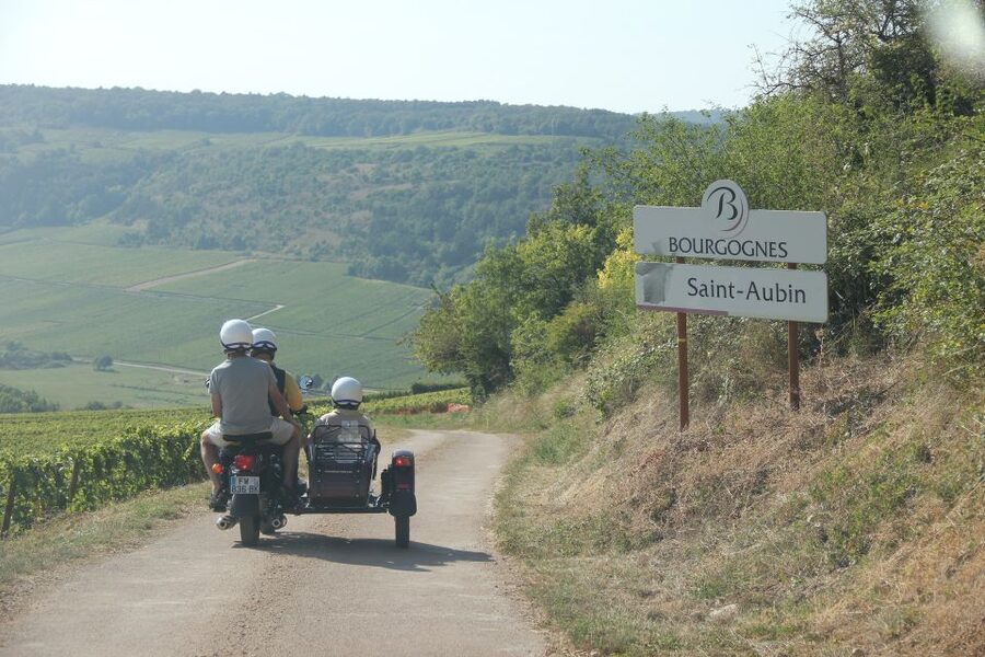 From Meursault: Private Sidecar Tour & Vineyard Wine Tasting - Key points to know before you book