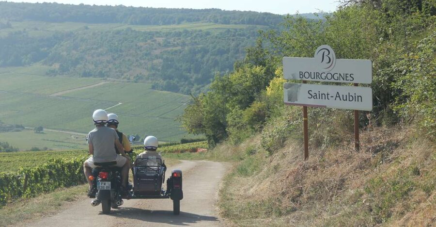 From Meursault: Private Sidecar Tour & Vineyard Wine Tasting - Reading the vineyards near Puligny and Chassagne