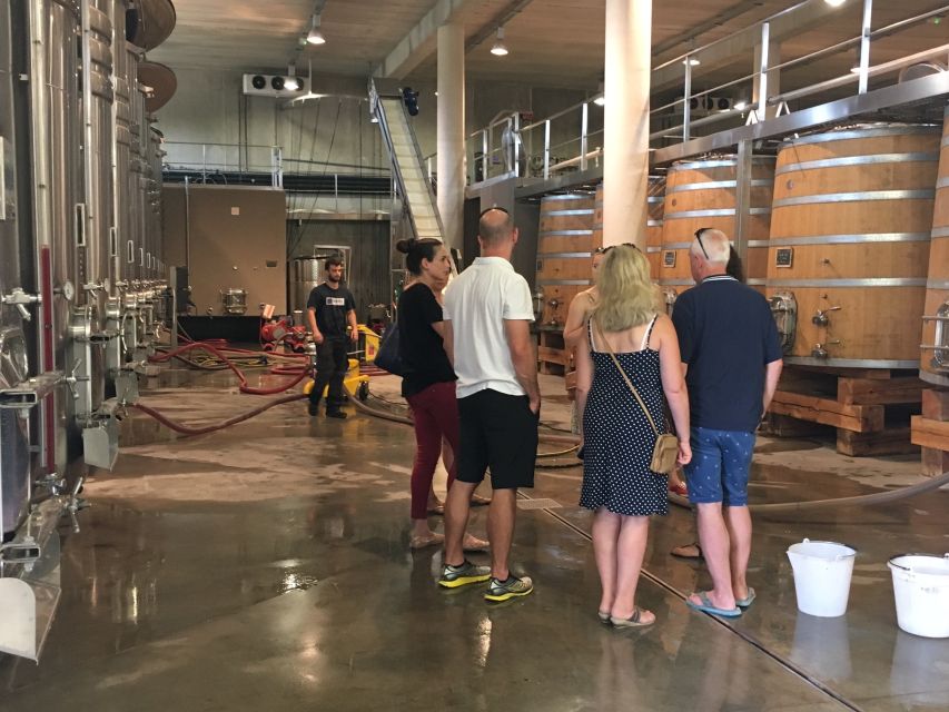 From Montpellier: Half-Day Vineyard & Pic Saint-Loup Tour - Key points to know before booking