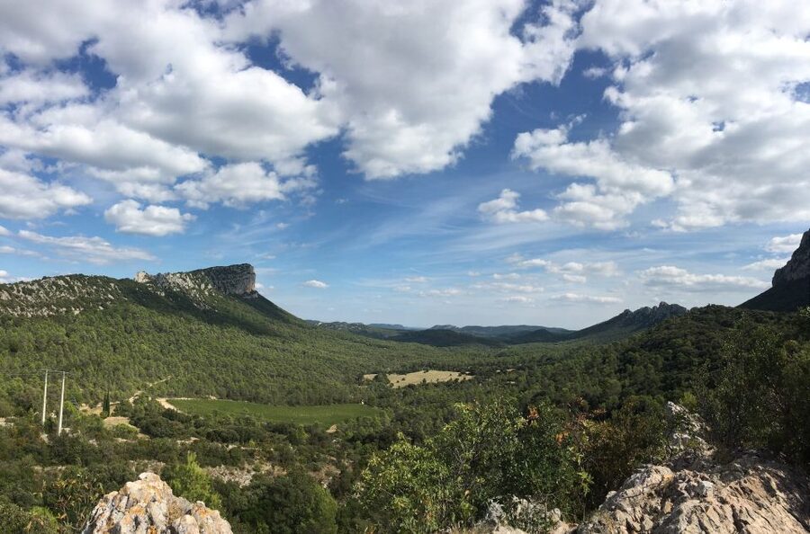 From Montpellier: Half-Day Vineyard & Pic Saint-Loup Tour - The short transfer between estates