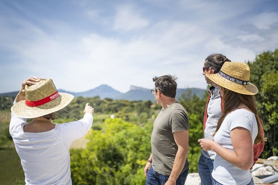 From Montpellier: Half-Day Vineyard & Pic Saint-Loup Tour - Second estate: tasting for comparison