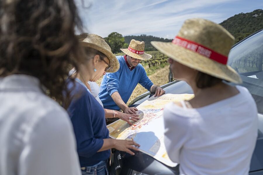 From Montpellier: Half-Day Vineyard & Pic Saint-Loup Tour - What the guide adds to the experience