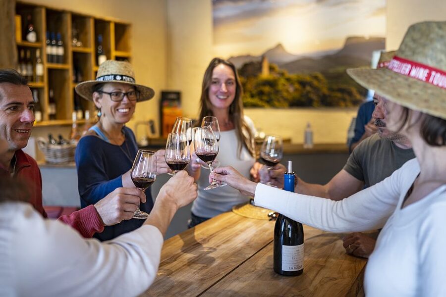 From Montpellier: Half-Day Vineyard & Pic Saint-Loup Tour - What you will taste and learn