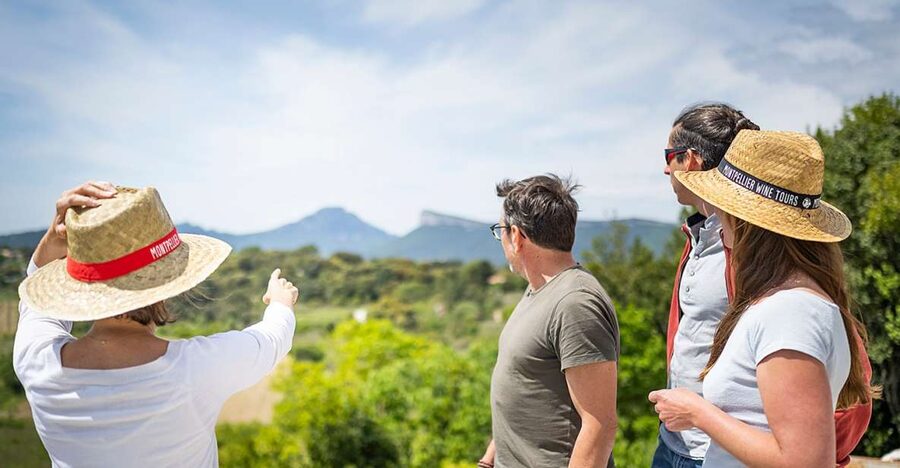 From Montpellier: Half-Day Vineyard & Pic Saint-Loup Tour - The minibus, group size, and pace