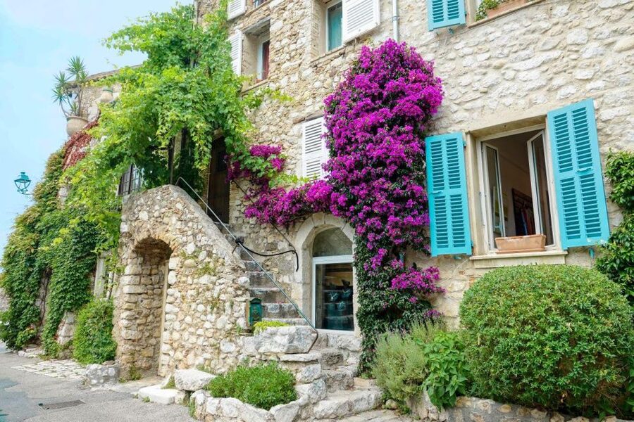 From Nice: Cannes, Antibes & St Paul de Vence Half-Day Tour - FAQ