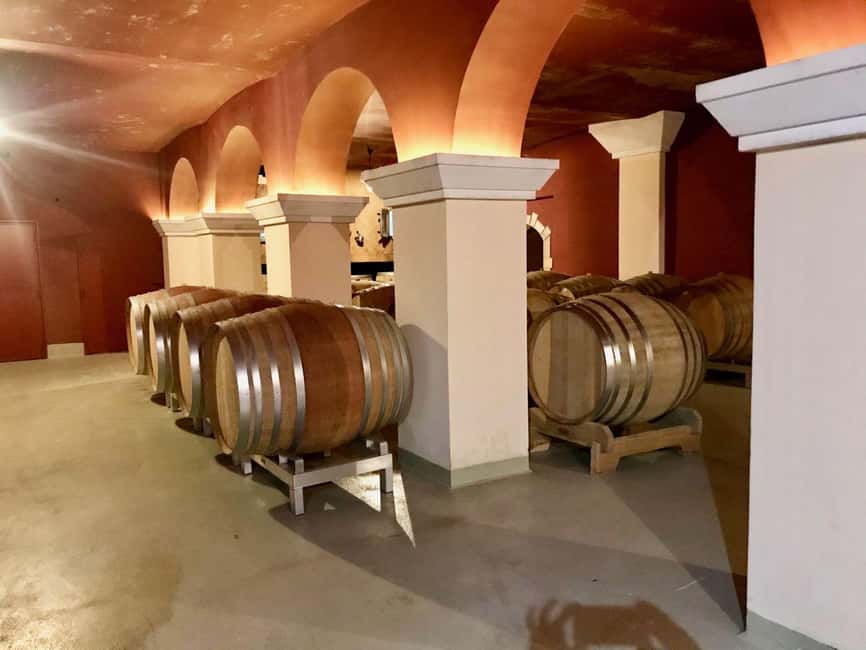 From Nice: Cannes, Saint Paul de Vence and Wine Tasting - Chateau Cremat: vineyards and a proper tasting stop