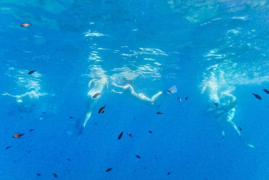 From Nice: French Riviera Swimming and Snorkeling Cruise - What to bring to the Poseidon office