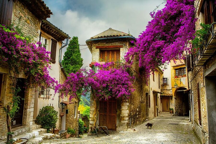 From Nice: Provence and its Medieval Villages Full-Day Tour - Why this day trip works from Nice