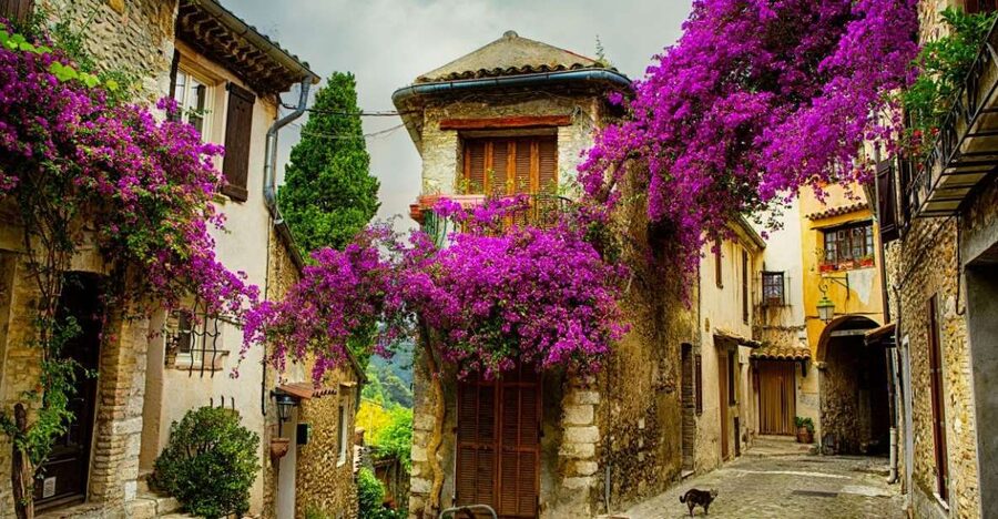 From Nice: Provence and its Medieval Villages Full-Day Tour - Grasse and the art of perfume