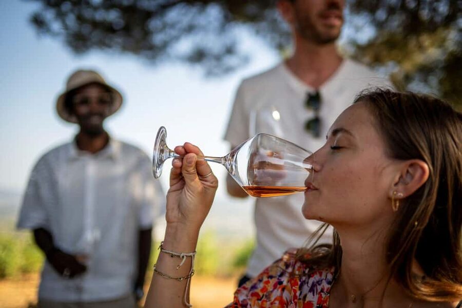 From Nice: Provence Wine Full-Day Tour - Is $211 a fair price?
