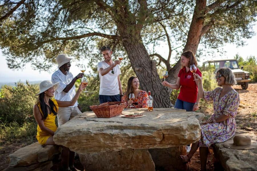 From Nice: Provence Wine Full-Day Tour - First stop: a historic Cru Classé estate