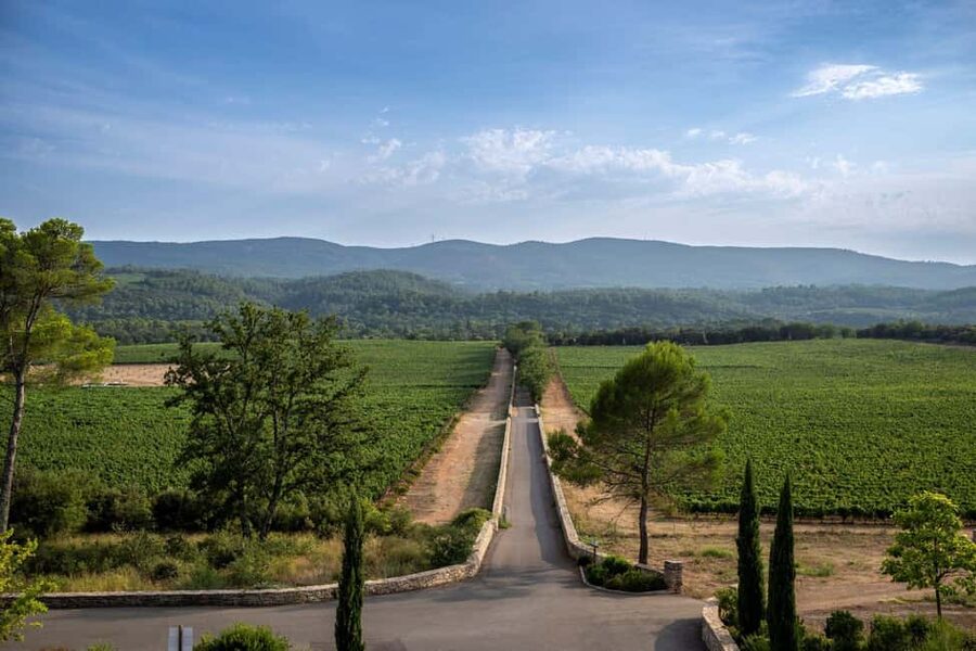 From Nice: Provence Wine Full-Day Tour - What the tasting lesson adds