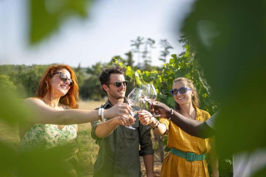 From Nice: Provence Wine Full-Day Tour - Lunch on a medieval village square