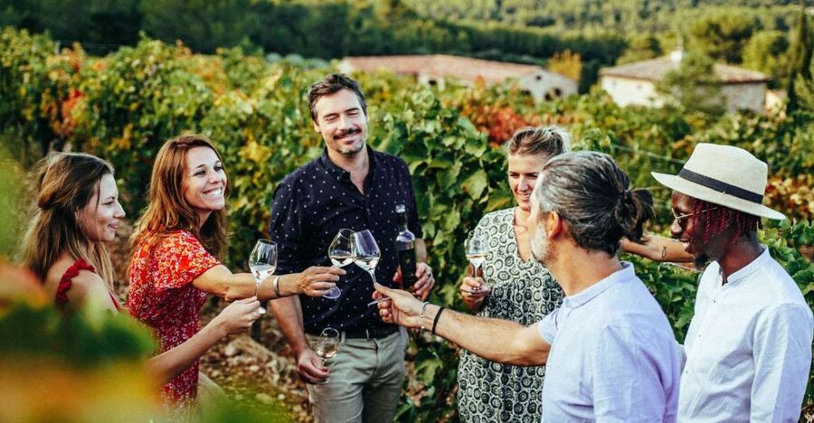 From Nice: Provence Wine Full-Day Tour - Second stop: a family estate with vineyard access