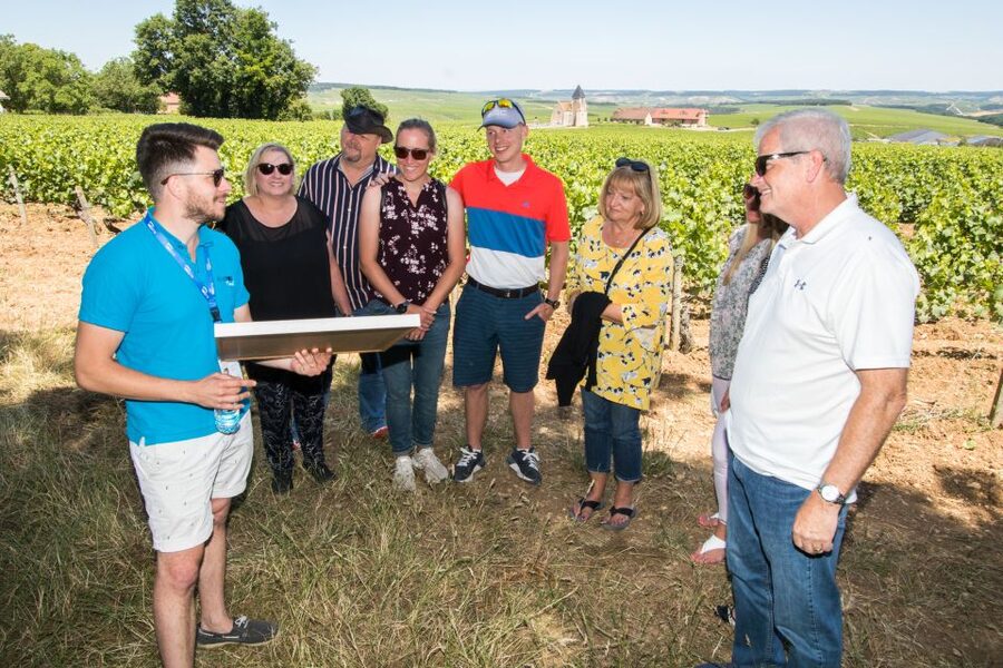 From Paris: Burgundy Region Winery Tour with Tastings - Why Chablis makes a good day trip from Paris