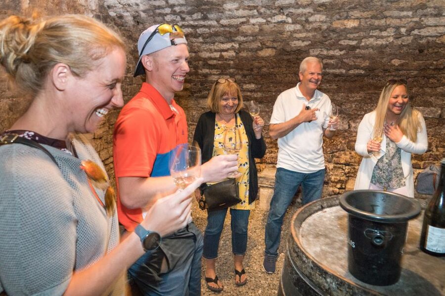 From Paris: Burgundy Region Winery Tour with Tastings - Who should book this Burgundy wine tour