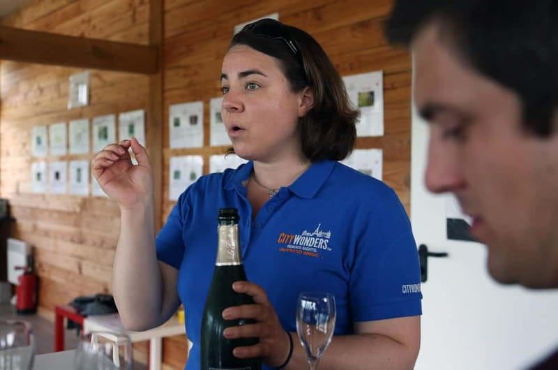 From Paris: Champagne Day Trip with 7 Tastings and Lunch - The family-owned estate in the vineyards