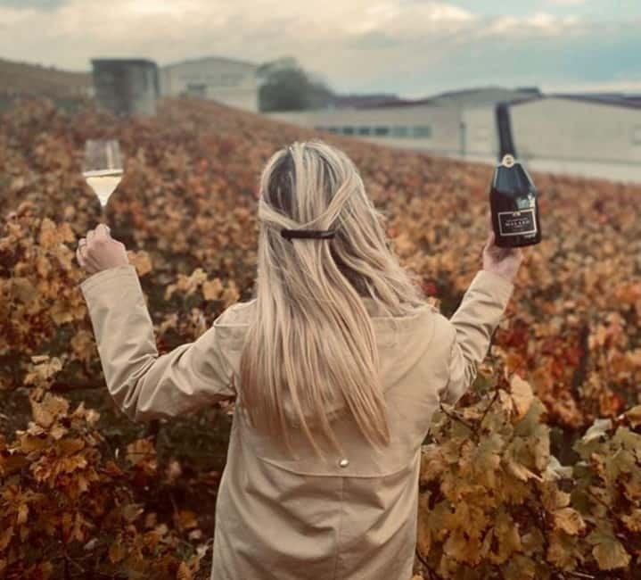 From Paris: Champagne Day Trip with 7 Tastings and Lunch - The coach ride back to Paris