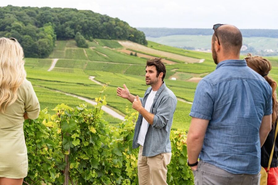 From Paris: Day Trip to Champagne with 8 Tastings & Lunch - Small group or private tour?