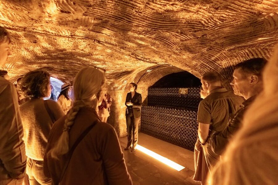 From Paris: Day Trip to Champagne with 8 Tastings & Lunch - A smaller producer or cooperative in the afternoon