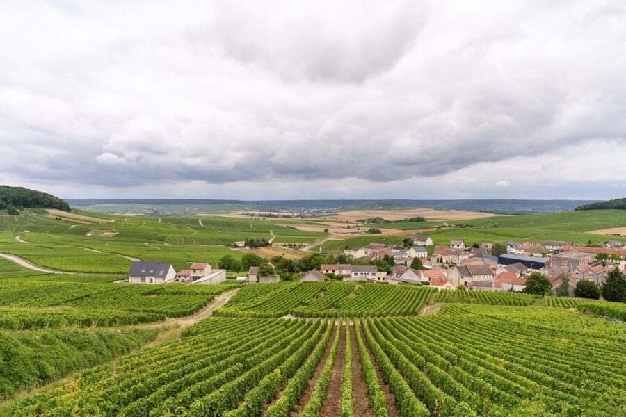 From Paris: Day Trip to Champagne with 8 Tastings & Lunch - Eight tastings, not eight rushed sips