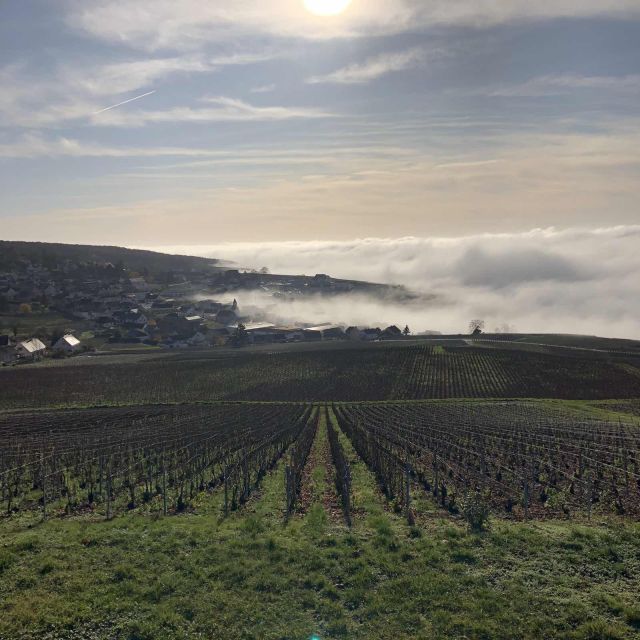 From Paris: Reims and Champagne Tasting Full-Day Tour - Who will enjoy this Champagne day trip?