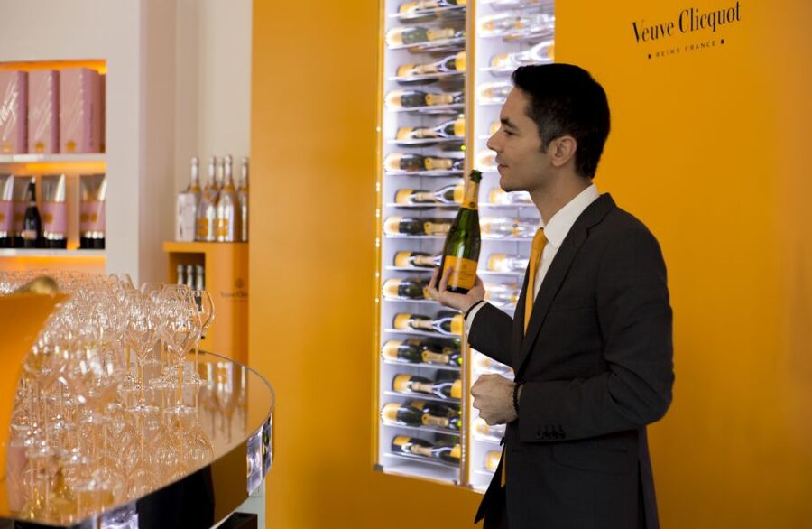 From Paris: Reims and Champagne Tasting Full-Day Tour - From Paris to the vineyards of Champagne