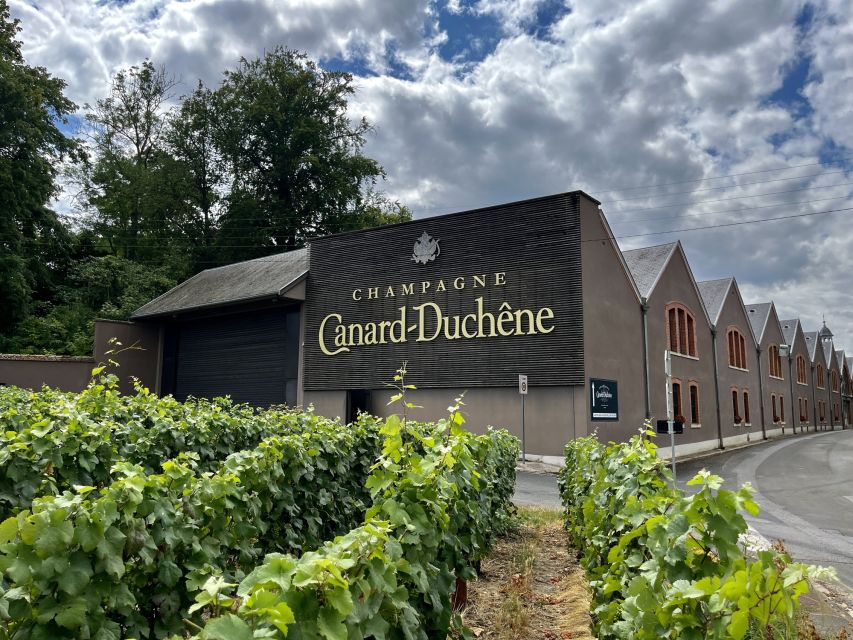From Paris: Reims and Champagne Tasting Full-Day Tour - Tasting Champagne among the Marne vineyards