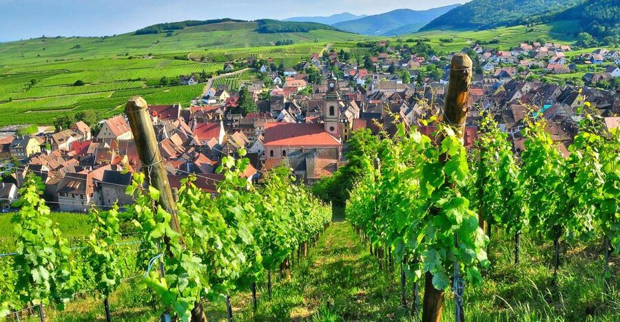 From Paris: Small-Group Champagne Day Trip with Six Tastings - The family winery gives Champagne a human scale