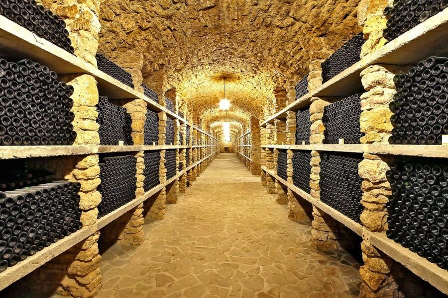 From Paris: Small-Group Champagne Day Trip with Six Tastings - The six tastings: how to pace the day