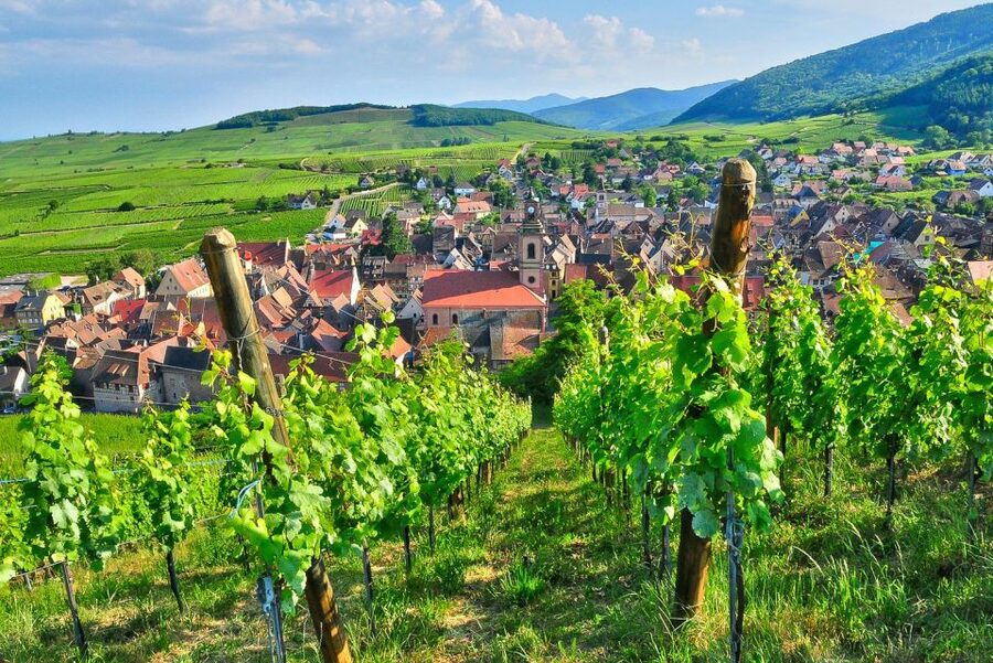 From Paris: Small-Group Champagne Day Trip with Six Tastings - What the $271 price includes