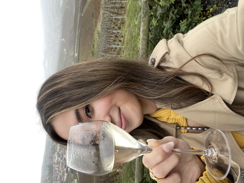 From Paris: Small-Group Champagne Tour with 3-Course Lunch - Is $411 a fair price?