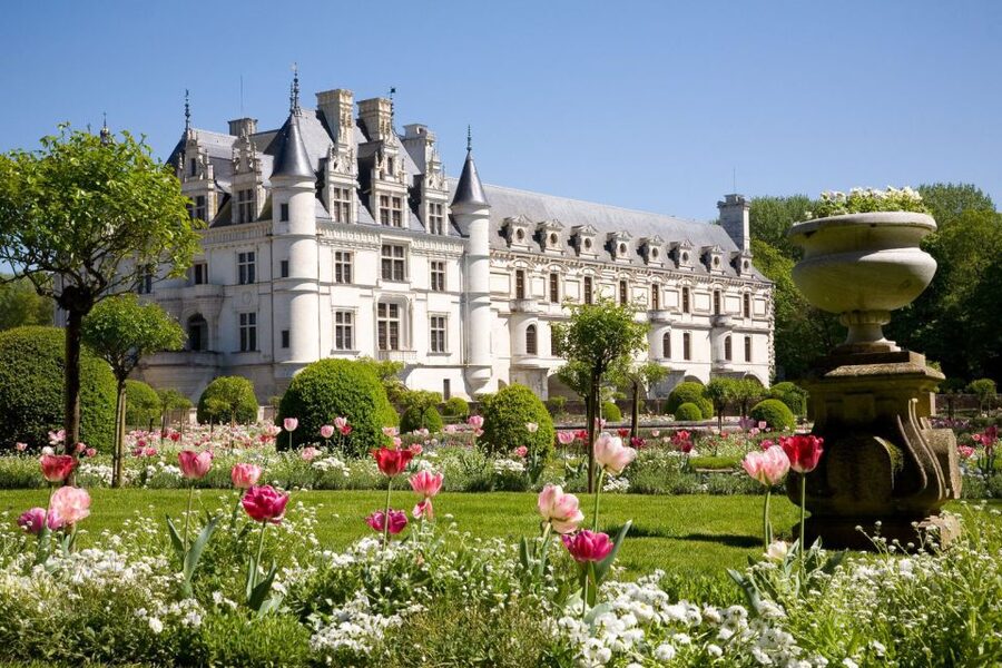 From Paris: Small-Group Loire Valley Castles Full-Day Tour - Chambord: royal scale and a famous double staircase