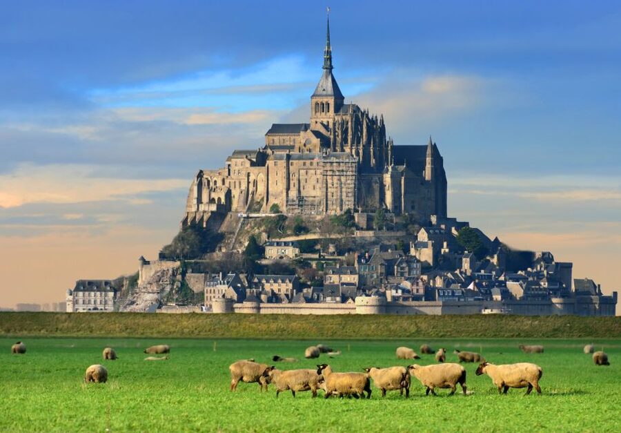 From Paris: Small-Group Mont St Michel Tour & Cider Tasting - Lunch and the value of free time